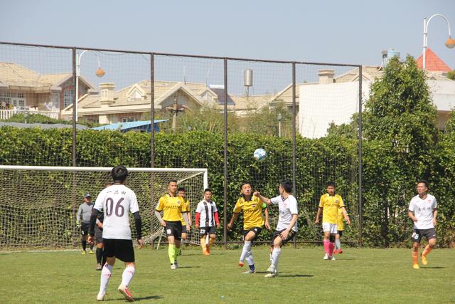 山东队阵容老化 球队看重邱彪培养年轻人能力